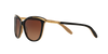 Ralph Sunglasses RA5203 1090T5