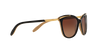 Ralph Sunglasses RA5203 1090T5