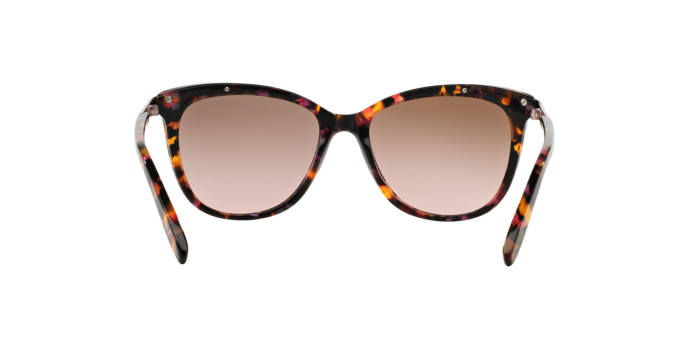 Ralph Sunglasses RA5203 146114