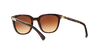 Ralph Sunglasses RA5206 137813