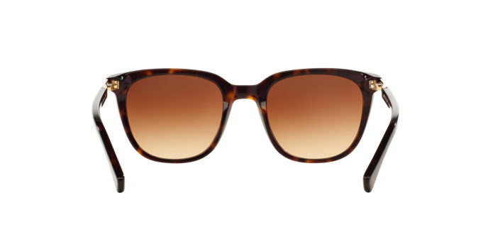 Ralph Sunglasses RA5206 137813