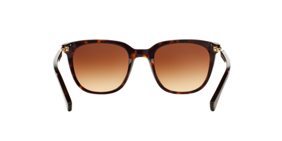 Ralph Sunglasses RA5206 137813