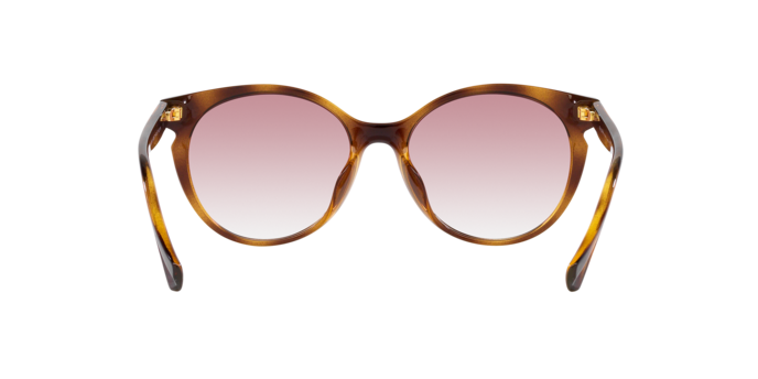 Ralph Sunglasses RA5285U 500377