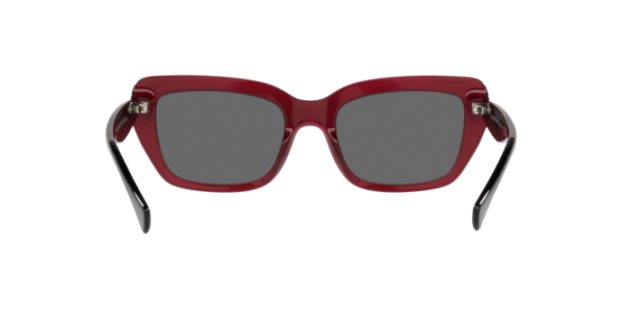 Ralph Sunglasses RA5292 592187