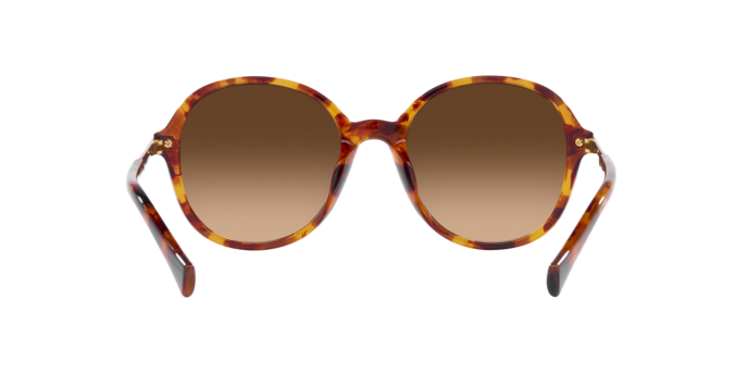 Ralph Sunglasses RA5297U 588574