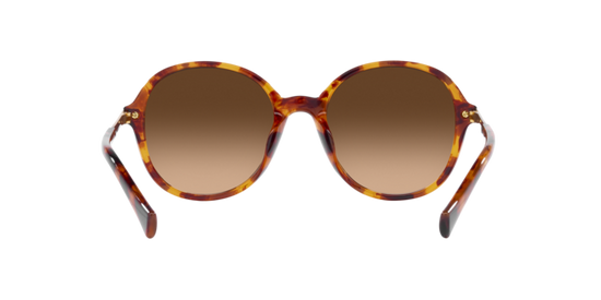 Ralph Sunglasses RA5297U 588574