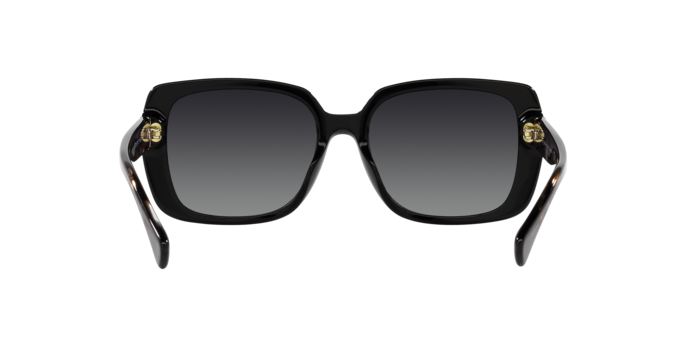 Ralph Sunglasses RA5298U 5001T3