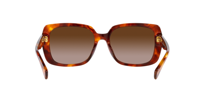 Ralph Sunglasses RA5298U 601113