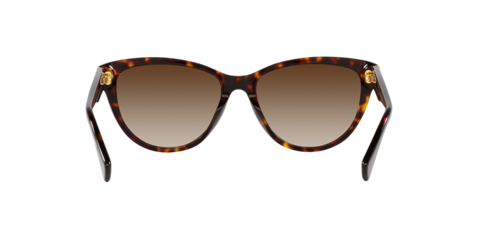 Ralph Sunglasses RA5299U 500313