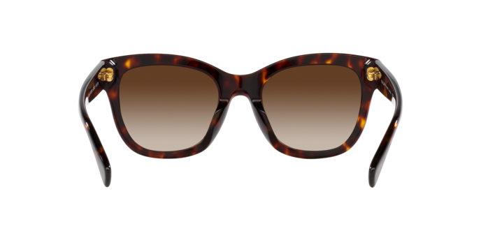 Ralph Sunglasses RA5301U 500313