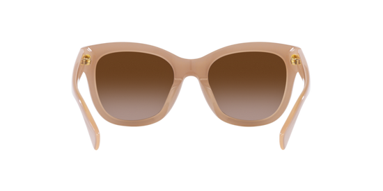 Ralph Sunglasses RA5301U 606313