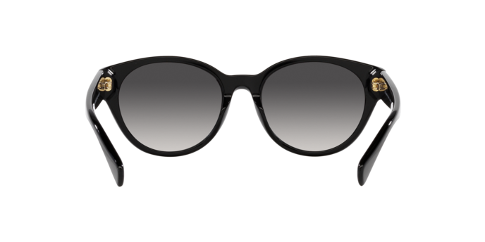 Ralph Sunglasses RA5302U 50018G