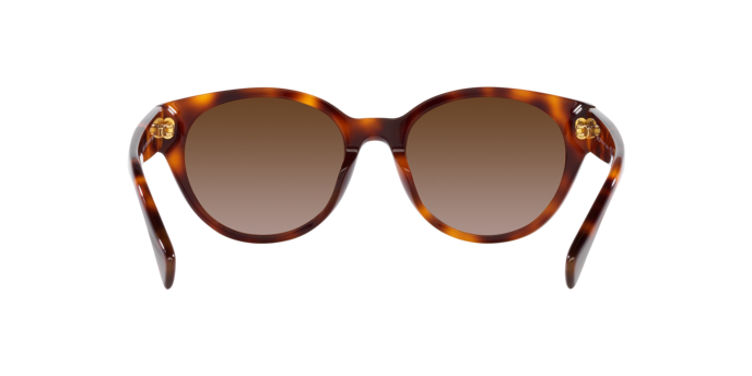 Ralph Sunglasses RA5302U 530313