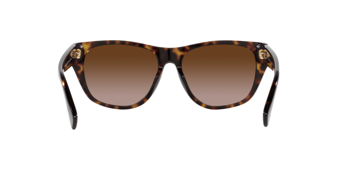 Ralph Sunglasses RA5303U 500313