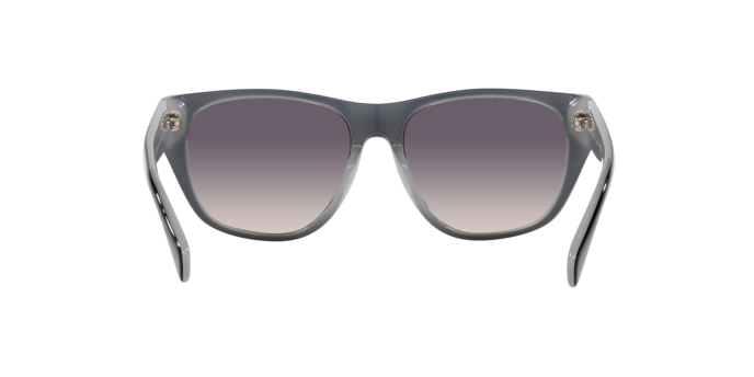 Ralph Sunglasses RA5303U 606636