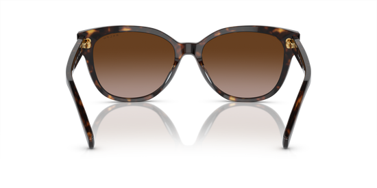 Ralph Sunglasses RA5305U 500313