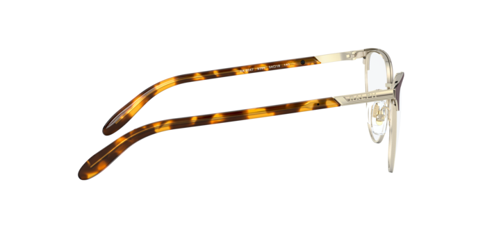 Ralph Eyeglasses RA6047 9395