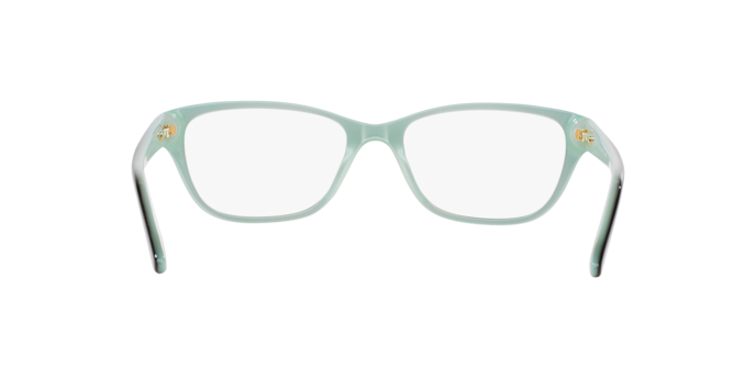 Ralph Eyeglasses RA7020 601