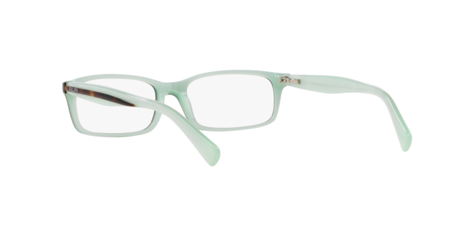 Ralph Eyeglasses RA7047 601