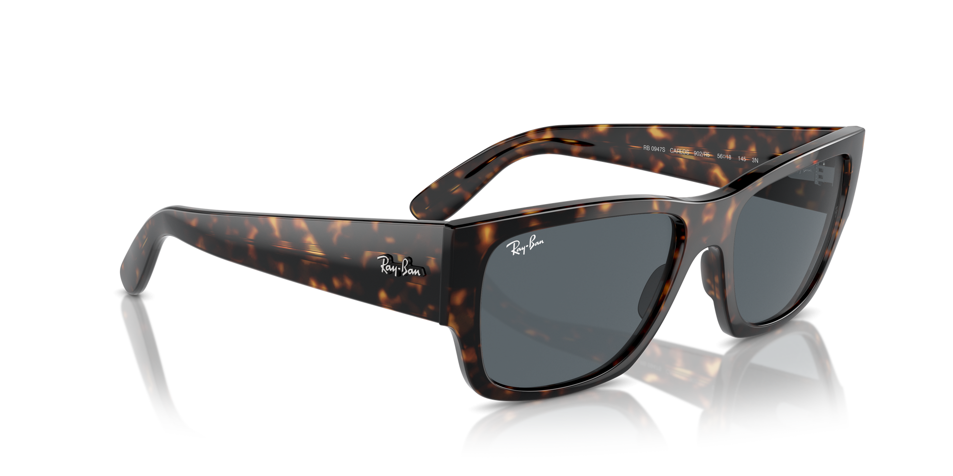 Ray-Ban Carlos Sunglasses RB0947S 902/R5