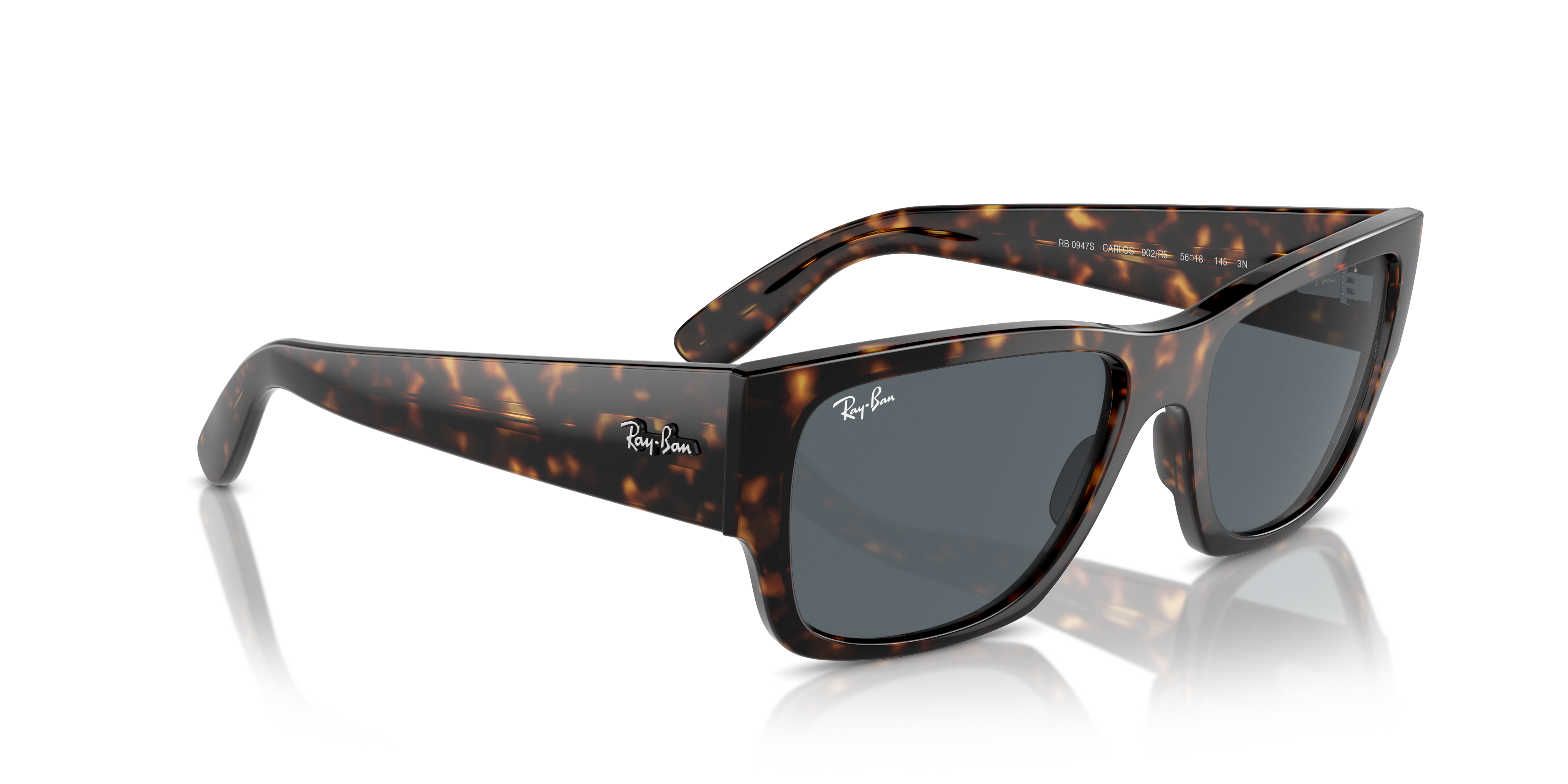 Ray-Ban Carlos Sunglasses RB0947S 902/R5