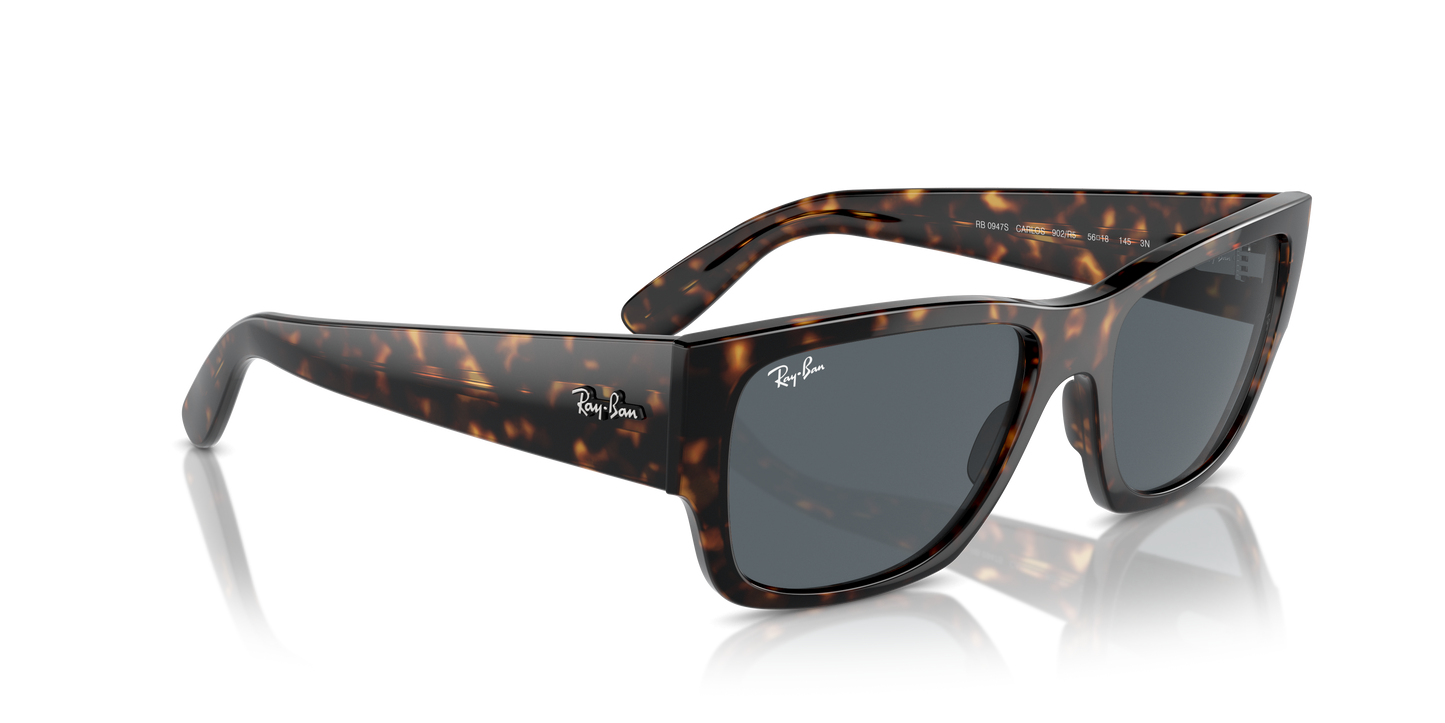 Ray-Ban Carlos Sunglasses RB0947S 902/R5