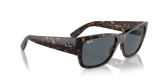 Ray-Ban Carlos Sunglasses RB0947S 902/R5