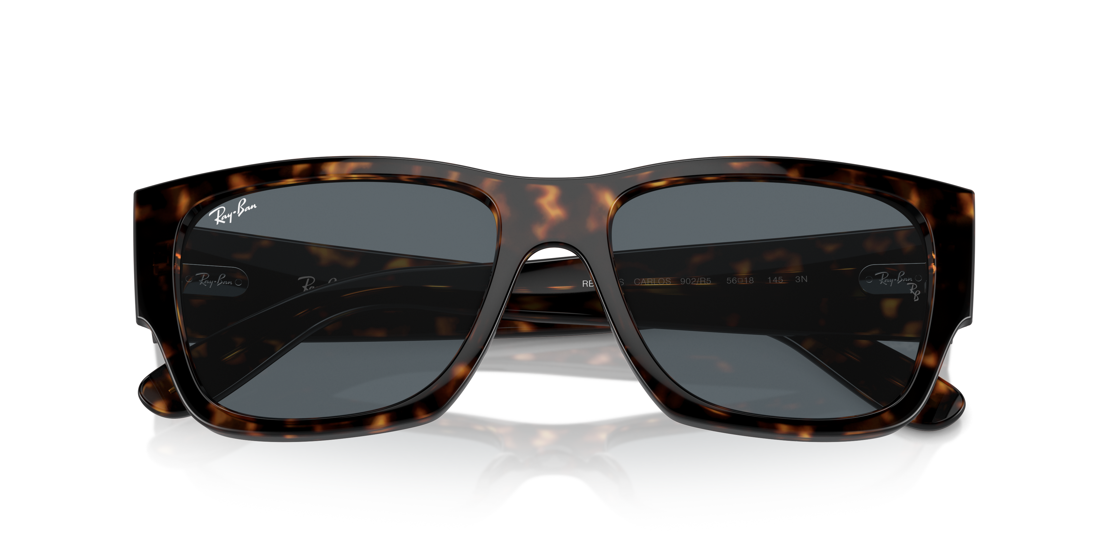 Ray-Ban Carlos Sunglasses RB0947S 902/R5