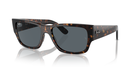 Ray-Ban Carlos Sunglasses RB0947S 902/R5