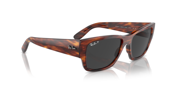 Ray-Ban Carlos Sunglasses RB0947S 954/48