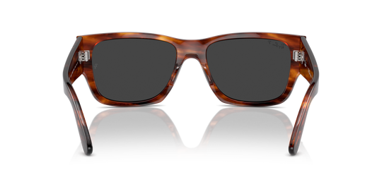 Ray-Ban Carlos Sunglasses RB0947S 954/48