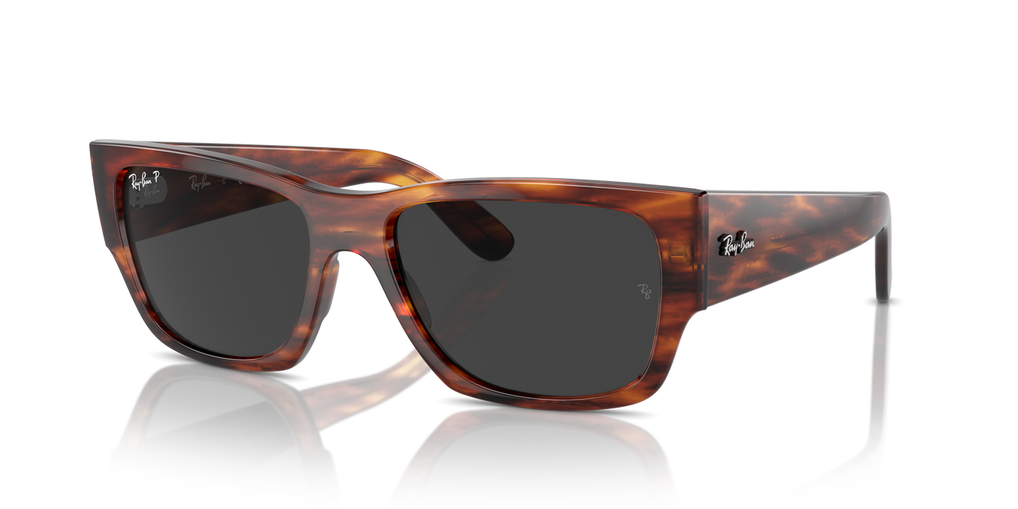 Ray-Ban Carlos Sunglasses RB0947S 954/48