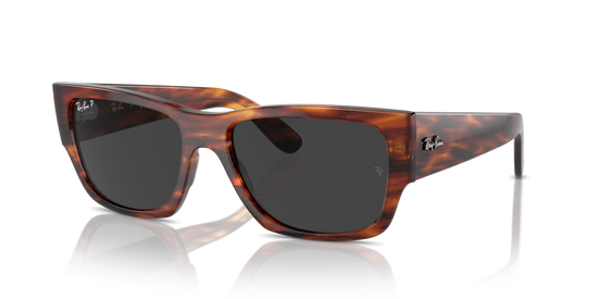 Ray-Ban Carlos Sunglasses RB0947S 954/48