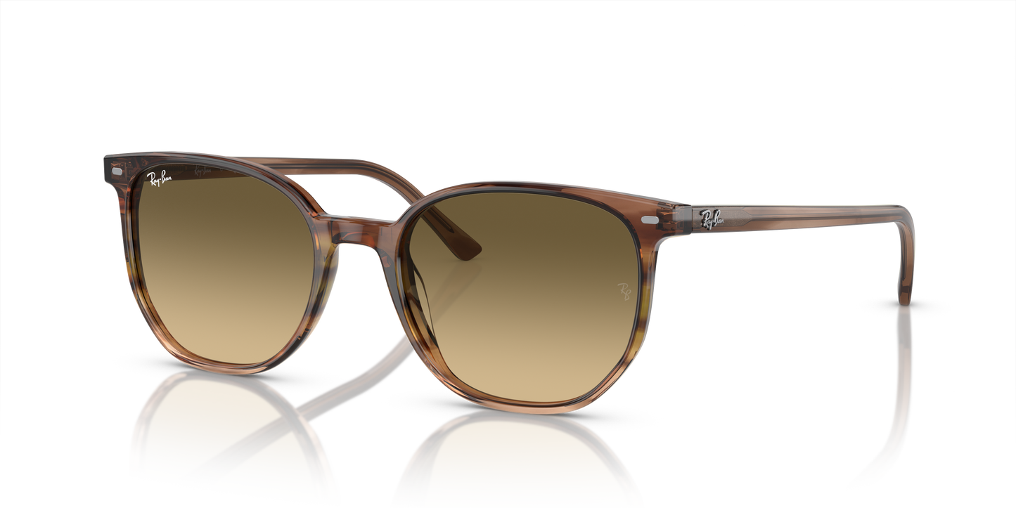 Ray-Ban Elliot Sunglasses RB2197 13920A