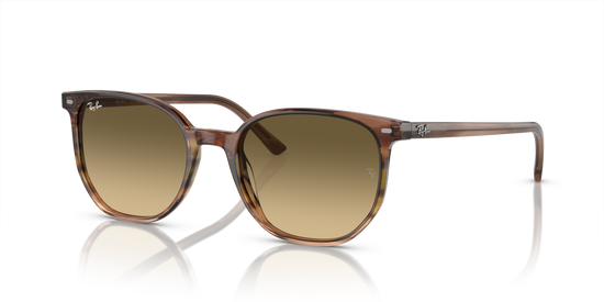 Ray-Ban Elliot Sunglasses RB2197 13920A