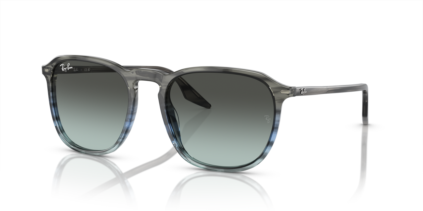 Ray-Ban Sunglasses RB2203 1391GK