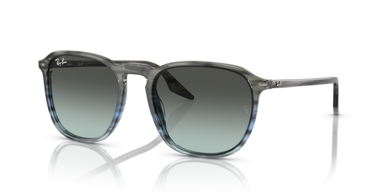 Ray-Ban Sunglasses RB2203 1391GK