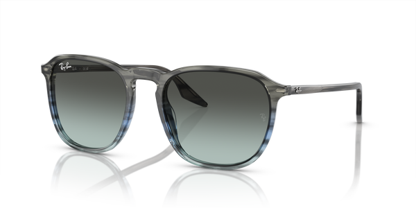 Ray-Ban RB2203 1391GK