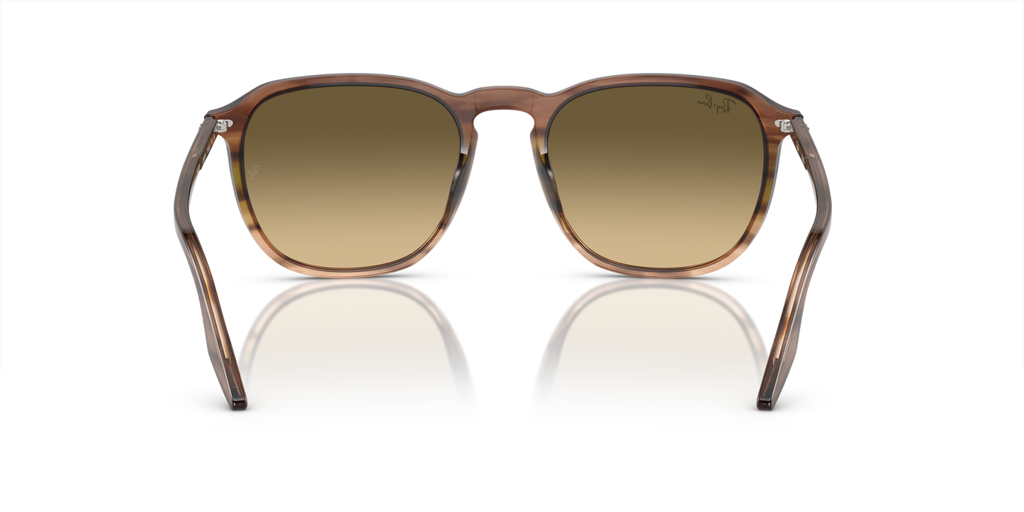 Ray-Ban Sunglasses RB2203 13920A