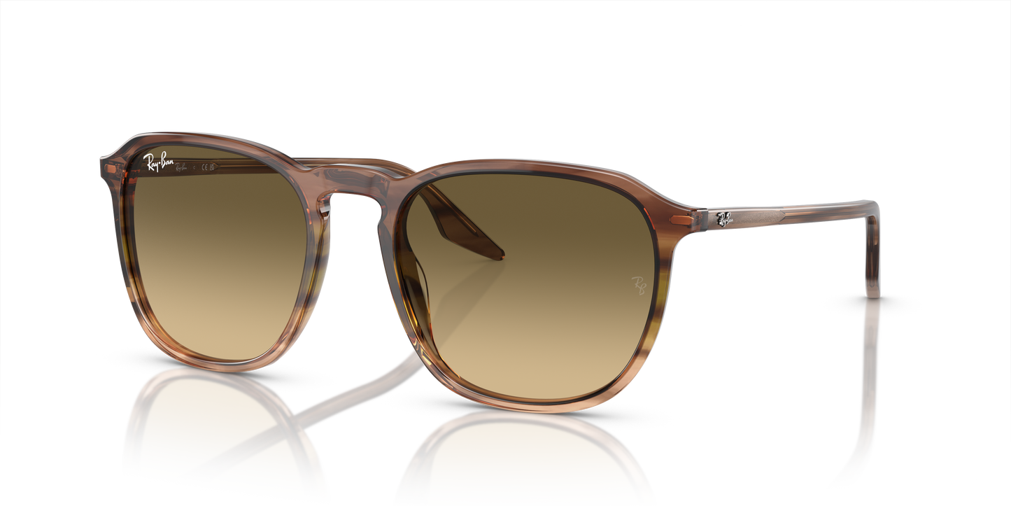 Ray-Ban Sunglasses RB2203 13920A