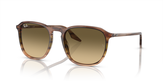 Ray-Ban Sunglasses RB2203 13920A