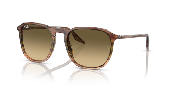 Ray-Ban RB2203 13920A