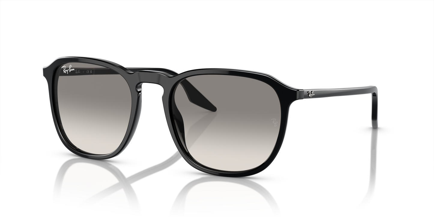 Ray-Ban Sunglasses RB2203 901/32