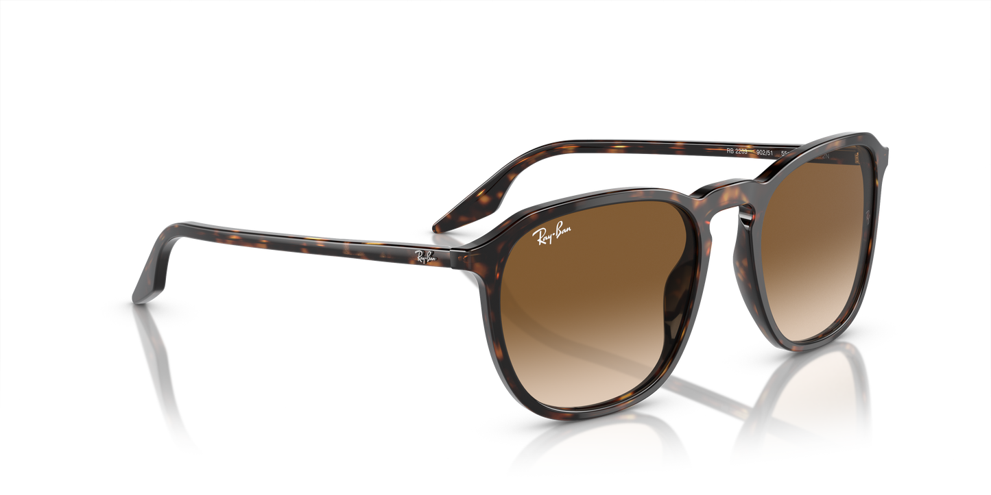 Ray-Ban Sunglasses RB2203 902/51