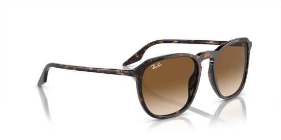 Ray-Ban Sunglasses RB2203 902/51