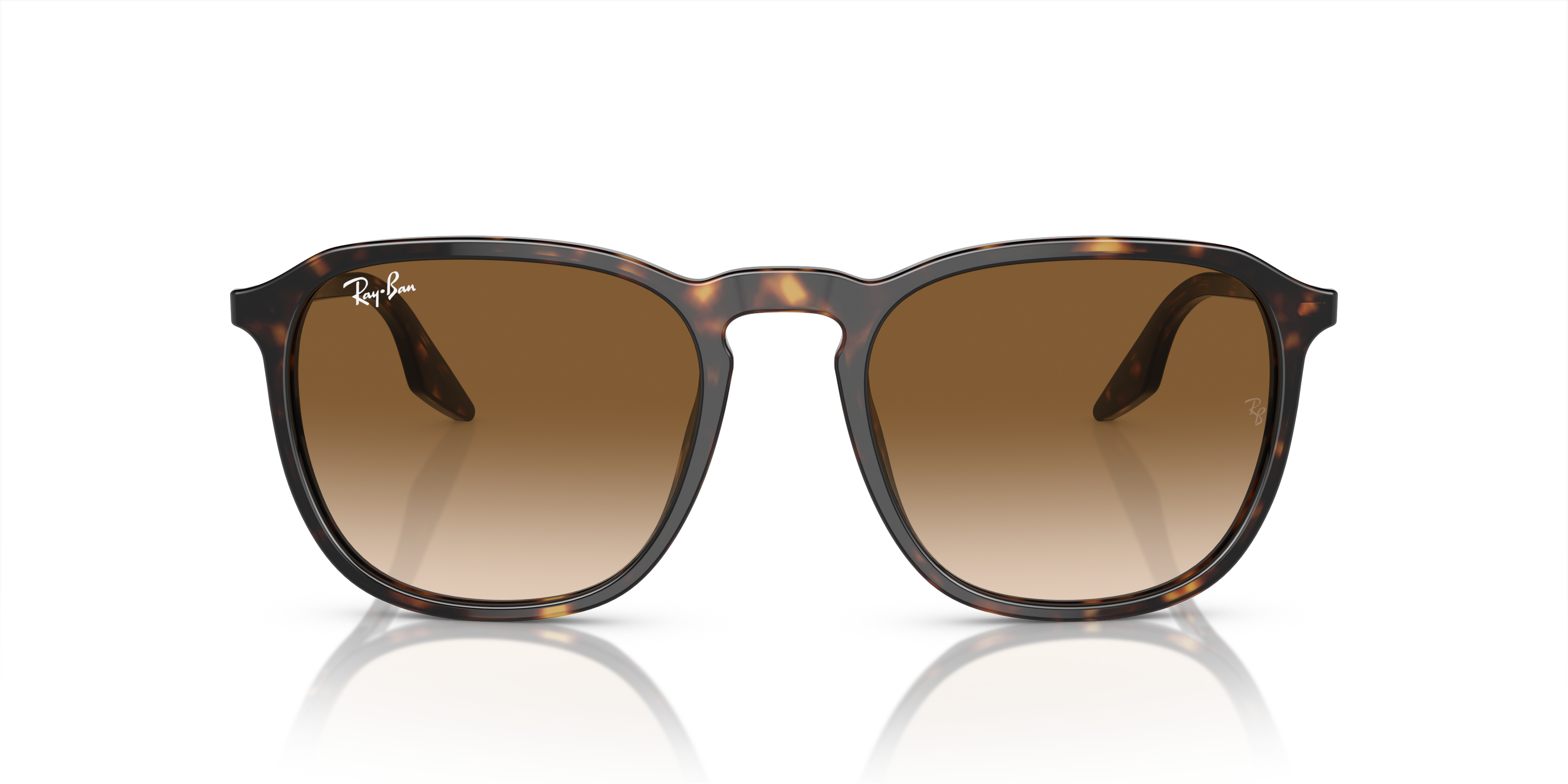 Ray-Ban Sunglasses RB2203 902/51