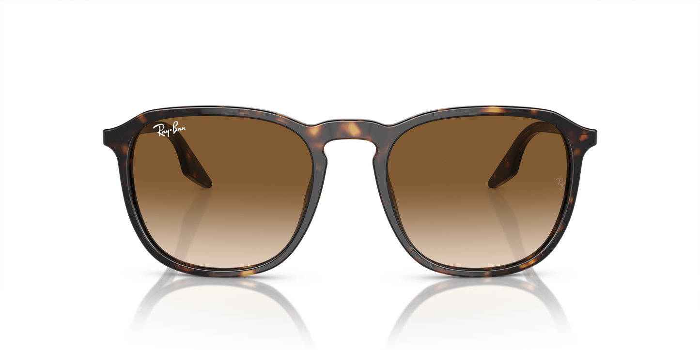 Ray-Ban Sunglasses RB2203 902/51