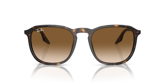 Ray-Ban Sunglasses RB2203 902/51