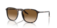 Ray-Ban RB2203 902/51