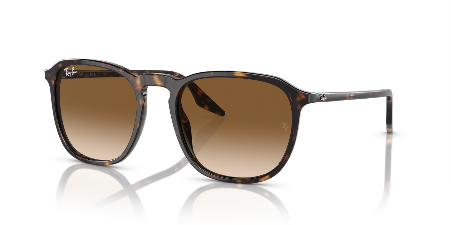 Ray-Ban Sunglasses RB2203 902/51